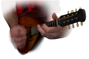 budestrings mandolin guitar tuition lessons Bude Cornwall
